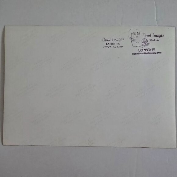 Grateful Dead Concert Photograph Licensed Rob Cohn Dead Images 8"x10" Band Perfo - Picture 5 of 14
